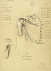 Etude anatomique. Omoplate du côté gauche. Face postérieure (1871)