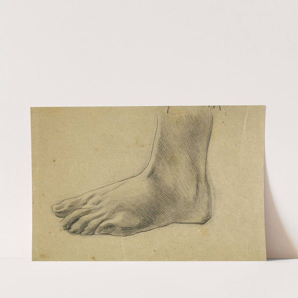 Etude anatomique. Pied gauche, à plat by Arthur-Joseph Gueniot