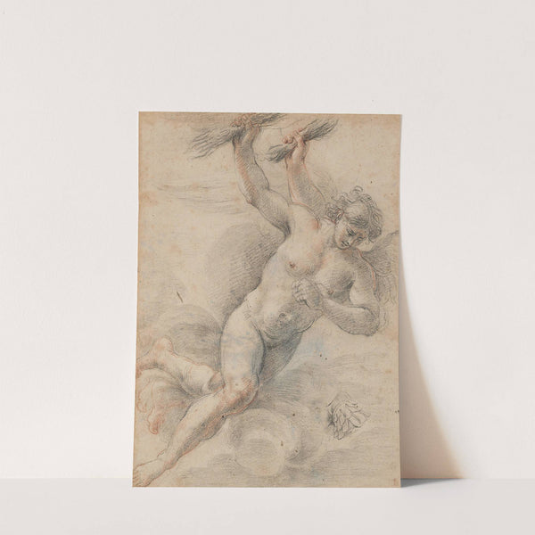 Étude d’Ange by Charles De La Fosse
