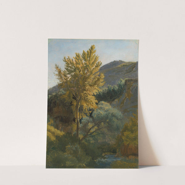 Etude d'arbre près d'un torrent en Italie by Jean-Baptiste-Camille Corot