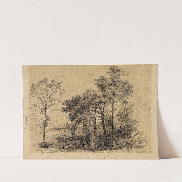 Etude d’arbres (1847) by Henri-Joseph Harpignies