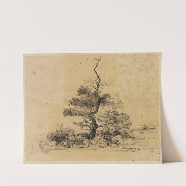 Etude d’arbres (1847) by Henri-Joseph Harpignies