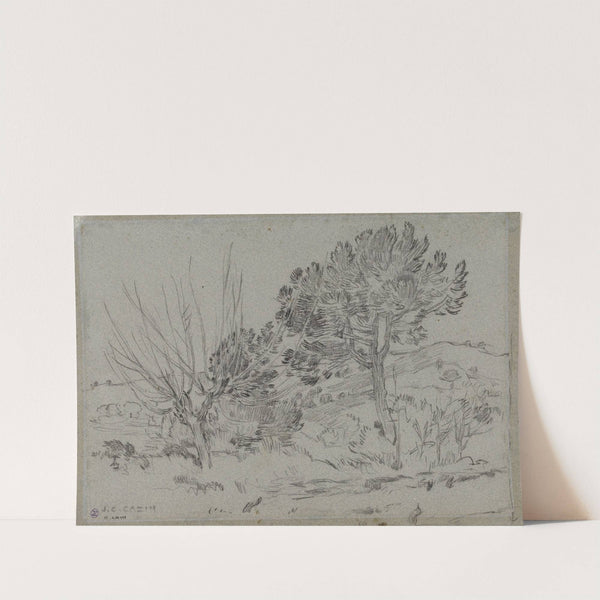 Etude d’arbres by Jean Charles Cazin