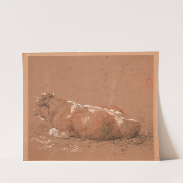 Étude de bœuf couché by Jacques-Raymond Brascassat