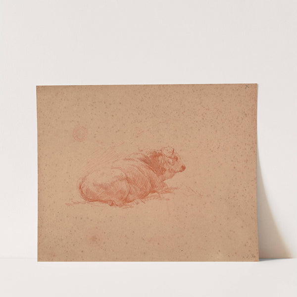 Étude de bœuf couché by Jacques-Raymond Brascassat