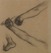 Etude de bras et de pieds