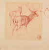 Étude de cerfs