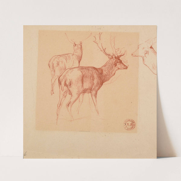 Étude de cerfs by Jacques-Raymond Brascassat