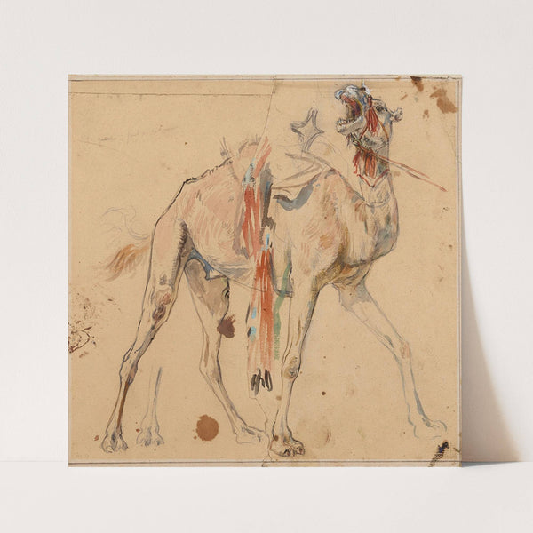 Etude de chameau by Étienne Dinet