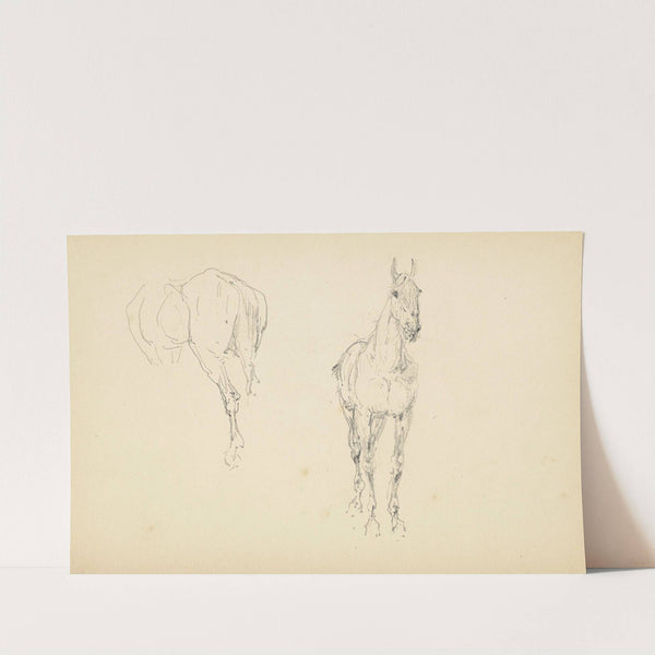 Étude de chevaux by Henri de Toulouse-Lautrec