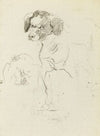 Etude de chien