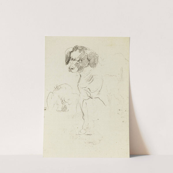 Etude de chien by Jean-Baptiste Carpeaux