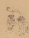 Etude de chiens (1890)