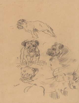 Etude de chiens (1890)