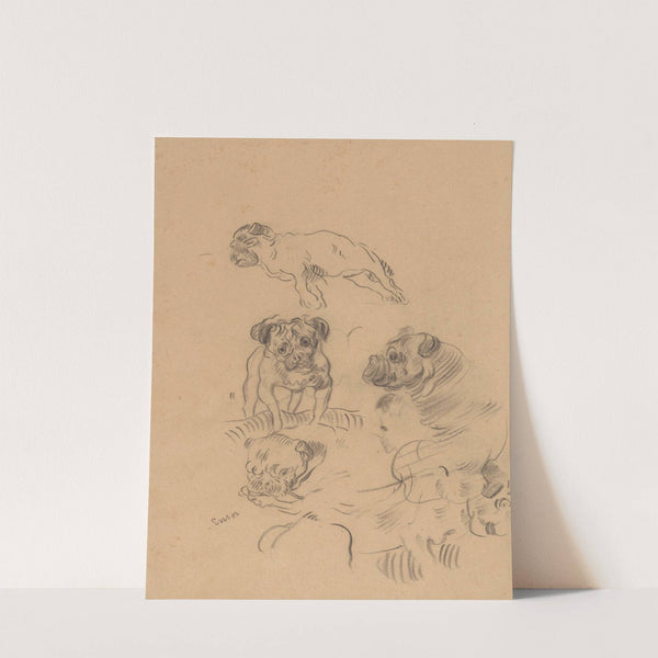 Etude de chiens (1890) by James Ensor