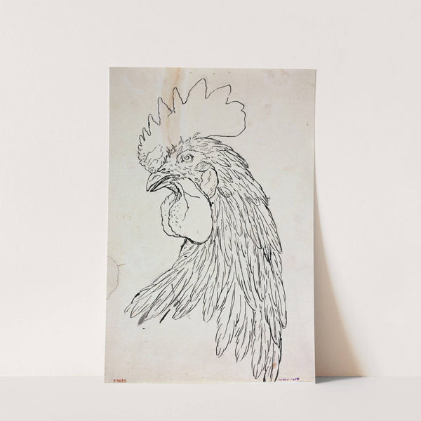 Etude de coq by Guillaume Boichot