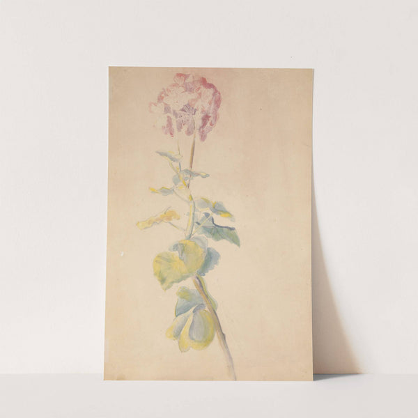 Étude de fleur by Hippolyte Petitjean