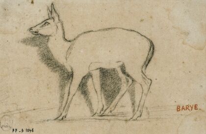 Etude de gazelle debout à gauche (19th century)