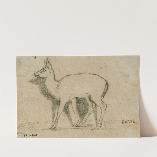 Etude de gazelle debout à gauche (19th century) by Antoine-Louis Barye