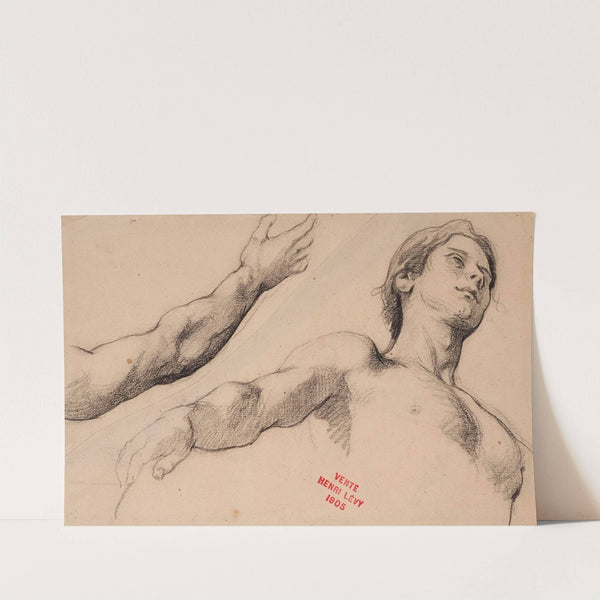 Etude de jeune homme en buste et étude d'un bras by Henri Leopold Lévy