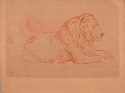 Étude de lion couché