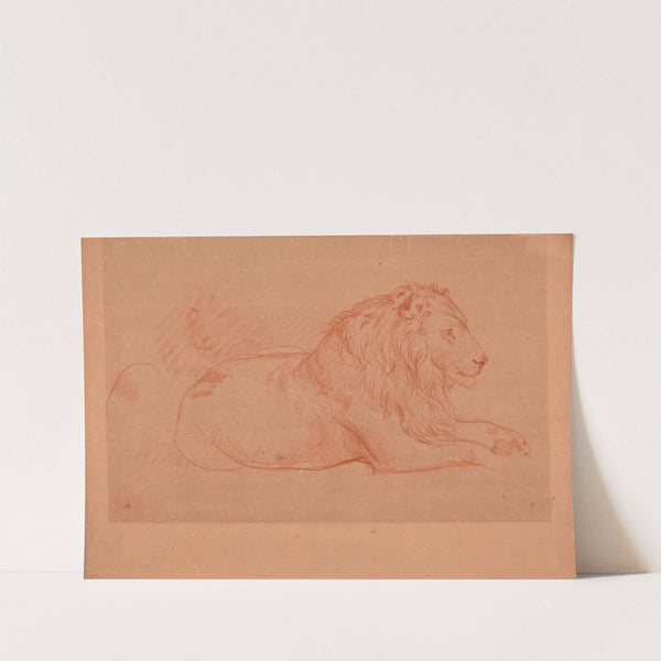 Étude de lion couché by Jacques-Raymond Brascassat