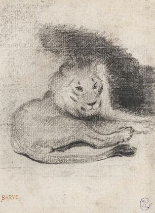 Etude de lion couché (19th century)