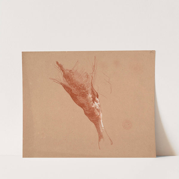 Étude de patte de bovidé by Jacques-Raymond Brascassat