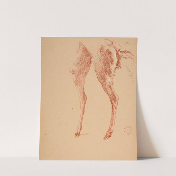 Étude de pattes de moutons by Jacques-Raymond Brascassat