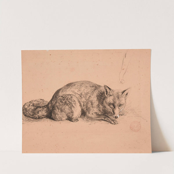 Étude de renard by Jacques-Raymond Brascassat