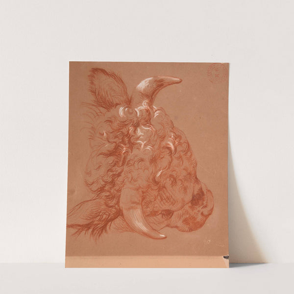 Étude de tête de bœuf. by Jacques-Raymond Brascassat