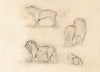 Etude de trois lions et une tête d’ours (19th century)