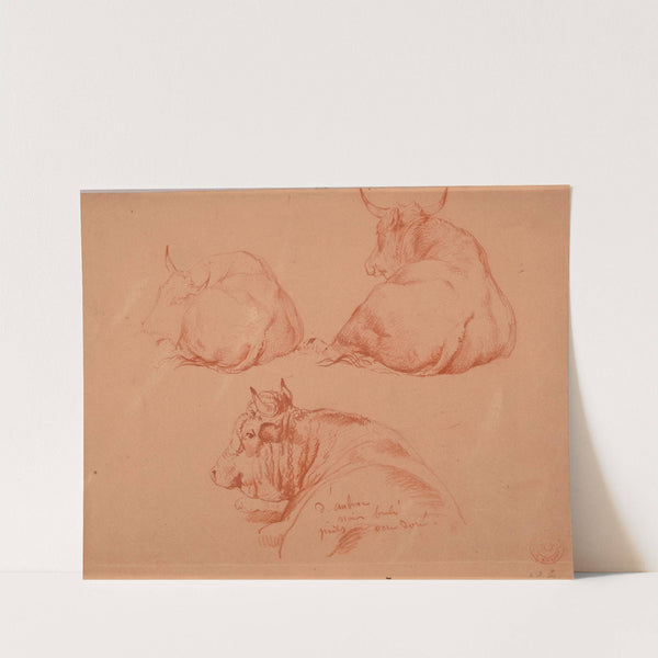 Étude de trois vaches couchées by Jacques-Raymond Brascassat
