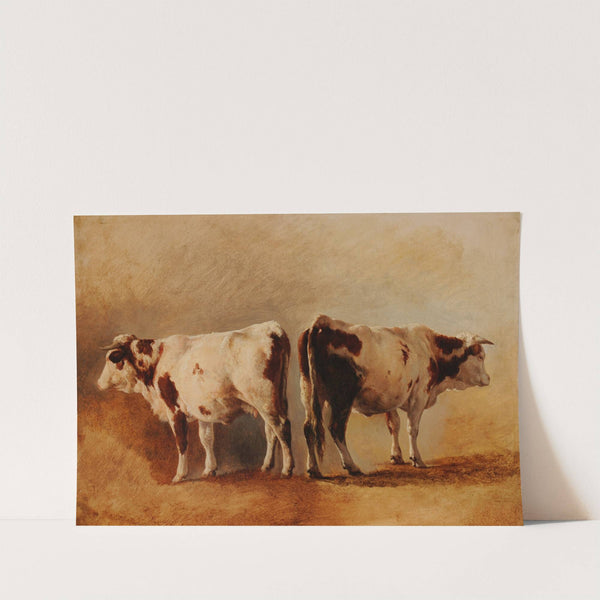 Étude de vache by Jacques-Raymond Brascassat