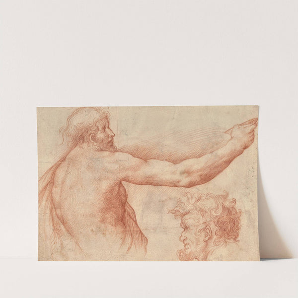 Étude d'homme nu en buste et d'une tête barbue by Giulio Cesare Procaccini