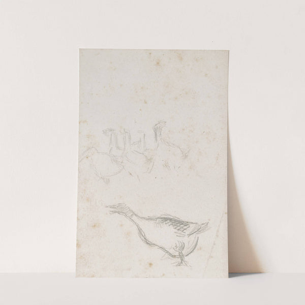 Etude d’oies (1870s) by Camille Pissarro