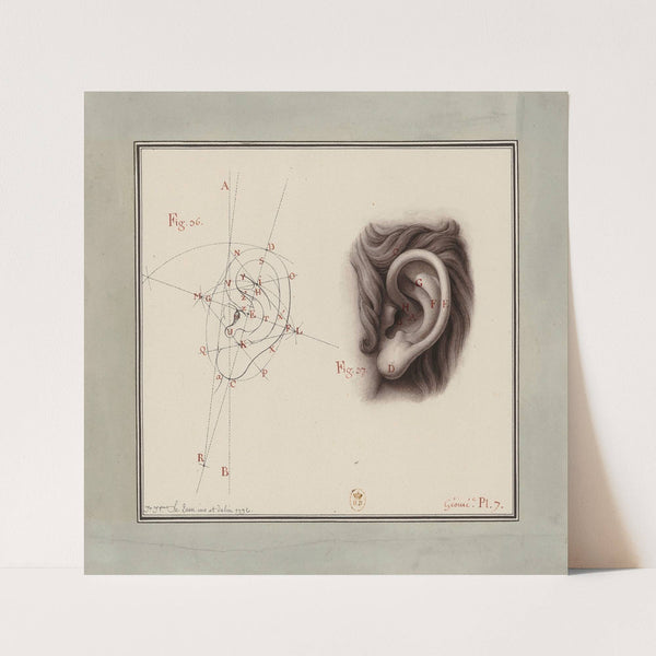 Etude d’oreille (1792) by Jean Jacques Lequeu