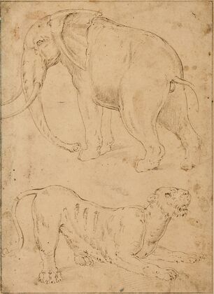 Ãtude d’un éléphant et d’une panthère