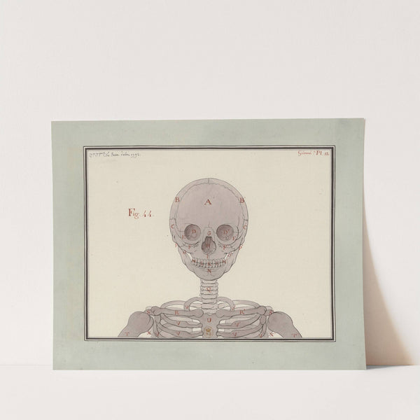 Etude d’un squelette, vue de face (1792) by Jean Jacques Lequeu