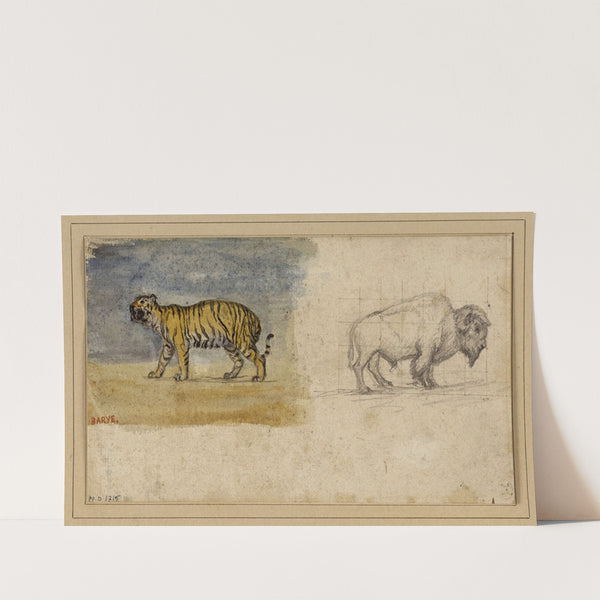Etude d’un tigre et d’un bison (19th century) by Antoine-Louis Barye