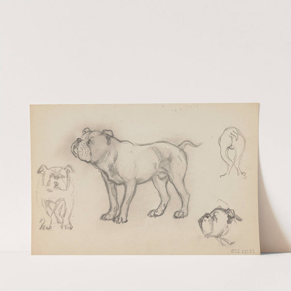 Études d'animaux, de paysages et de modèles by Eric Forbes-Robertson