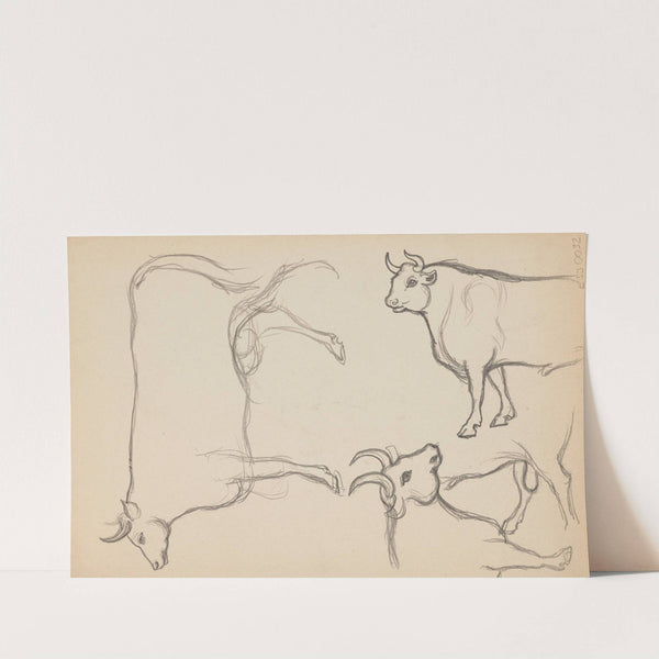 Études d'animaux, de paysages et de modèles by Eric Forbes-Robertson