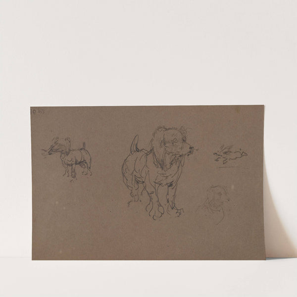 Études de chiens by Henri de Toulouse-Lautrec