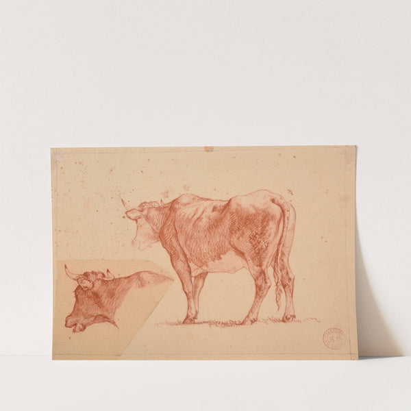 Études de vaches by Jacques-Raymond Brascassat