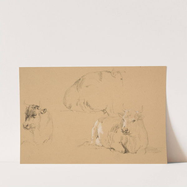 Études de vaches couchées by Jacques-Raymond Brascassat