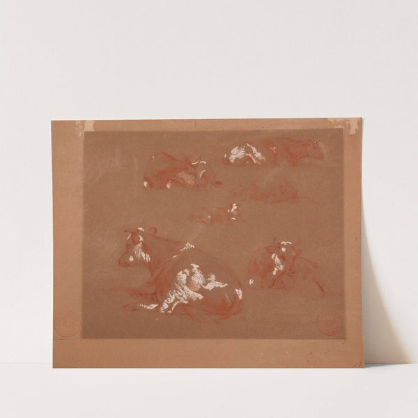 Études de vaches. by Jacques-Raymond Brascassat