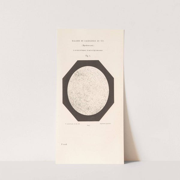 Études Sur Le Vin Pl.01 by Louis Pasteur