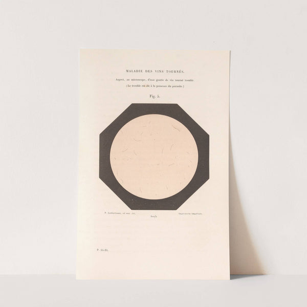 Études Sur Le Vin Pl.02 by Louis Pasteur