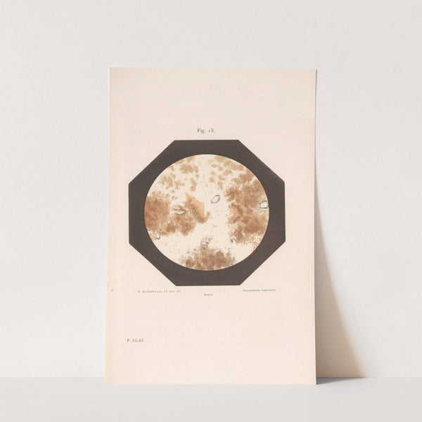 Études Sur Le Vin Pl.08 by Louis Pasteur