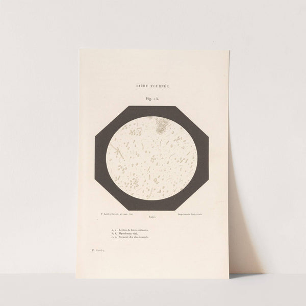 Études Sur Le Vin Pl.09 by Louis Pasteur